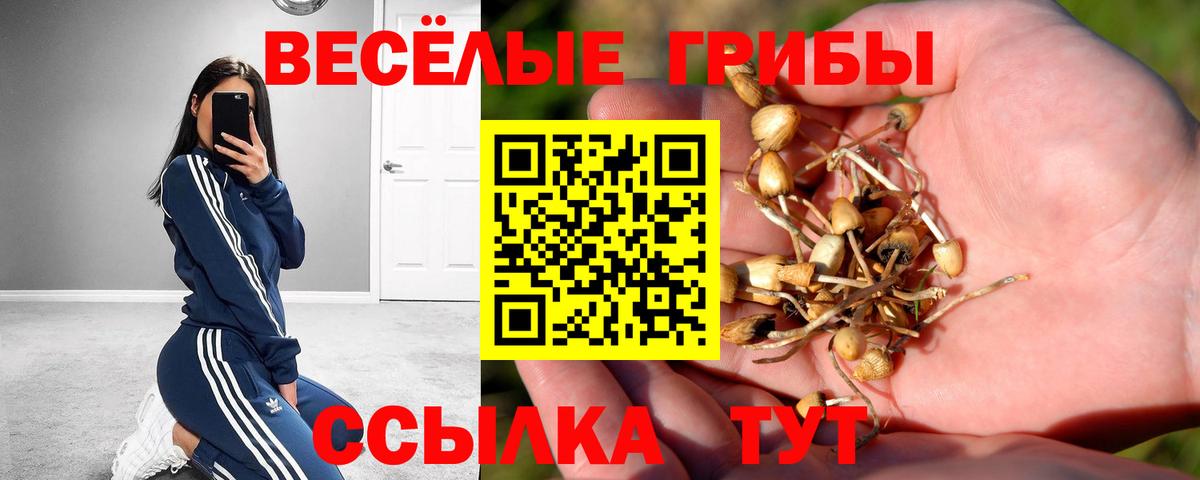 Галлюциногенные грибы мухоморы Лесозаводск