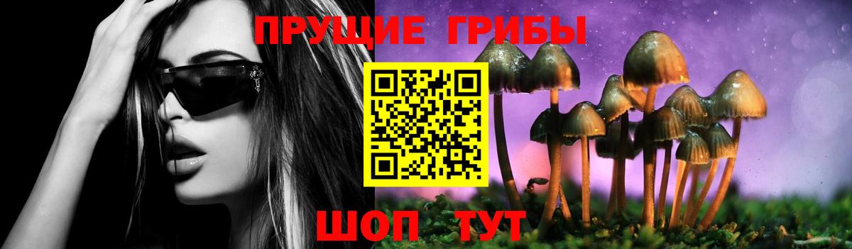 Лесозаводск  Галлюциногенные грибы мицелий  Вход с VPN 